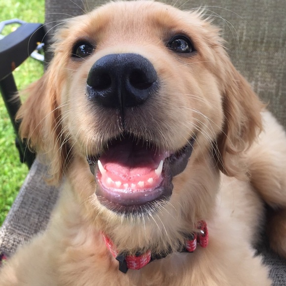 Meet your Posher, Wayne - Picture 2 of 7